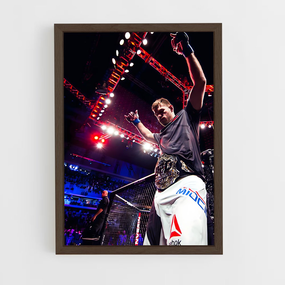 Poster Stipe miocic – affiche MMA (vue 5)